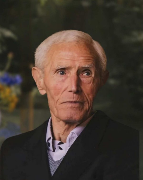Louis De Vos